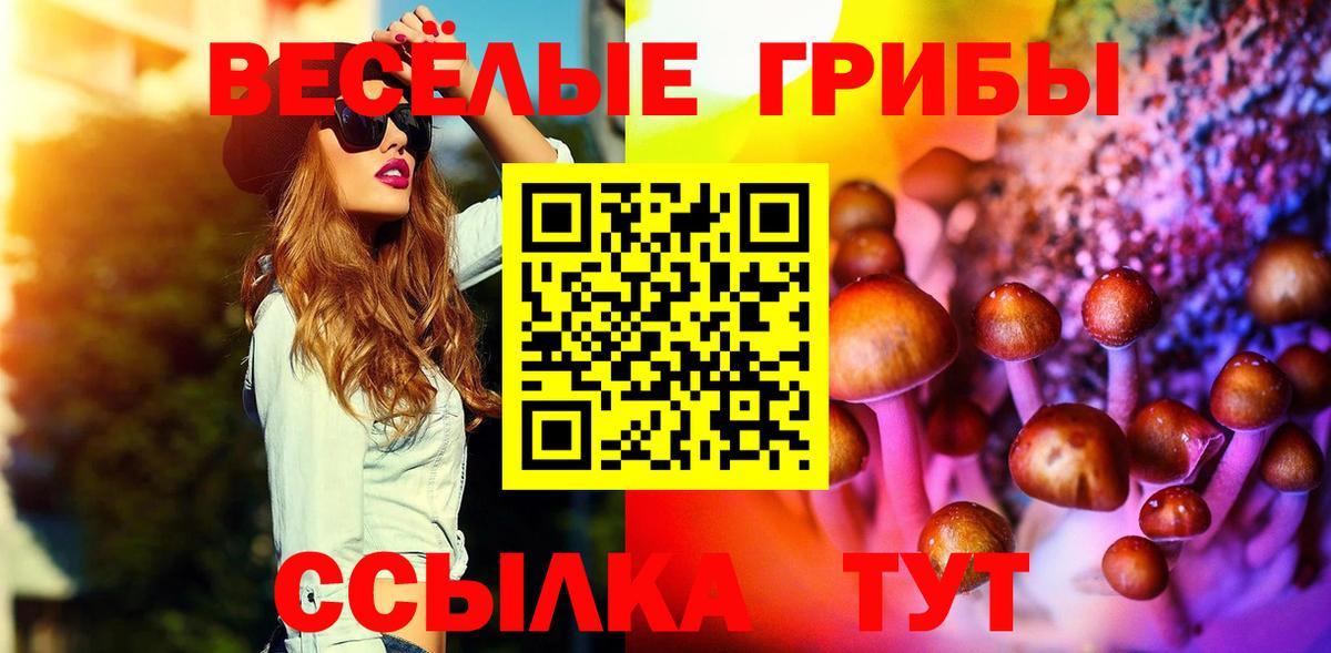 Псилоцибиновые грибы Magic Shrooms Новочеркасск