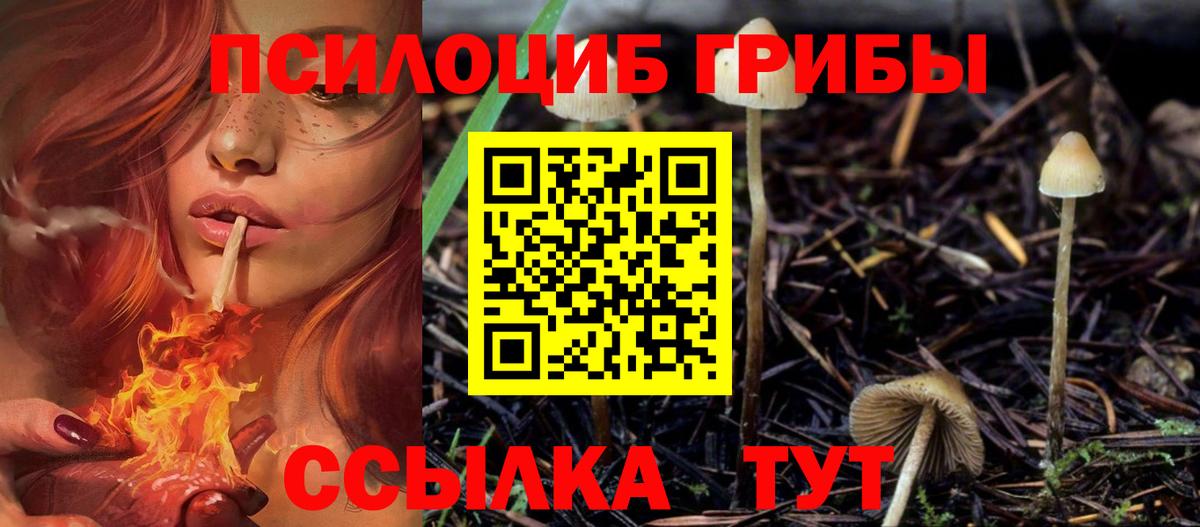 Новочеркасск  Псилоцибиновые грибы Cubensis  Вход с VPN  Псилоцибиновые грибы ЛСД 