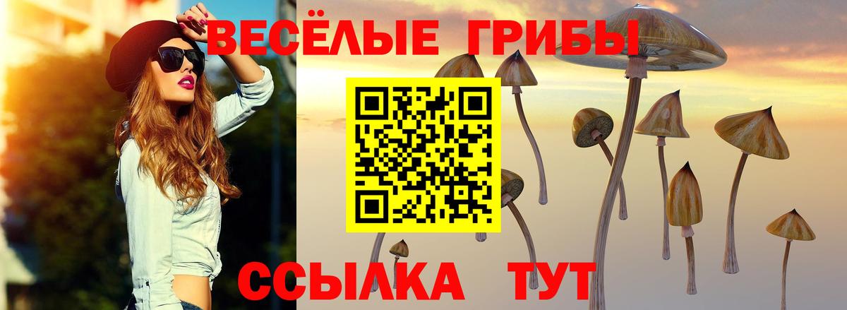 МЕФ   LSD-25  МЕТАДОН  ЭКСТАЗИ  Новочеркасск  Каннабис  Вход с VPN  Cocaine  ГАШ 